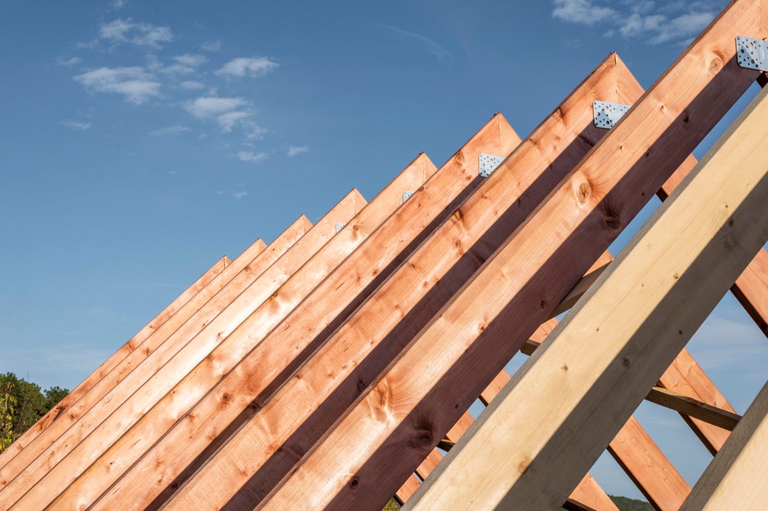 What Are Roofing Battens and Laths? Roofing TimberX