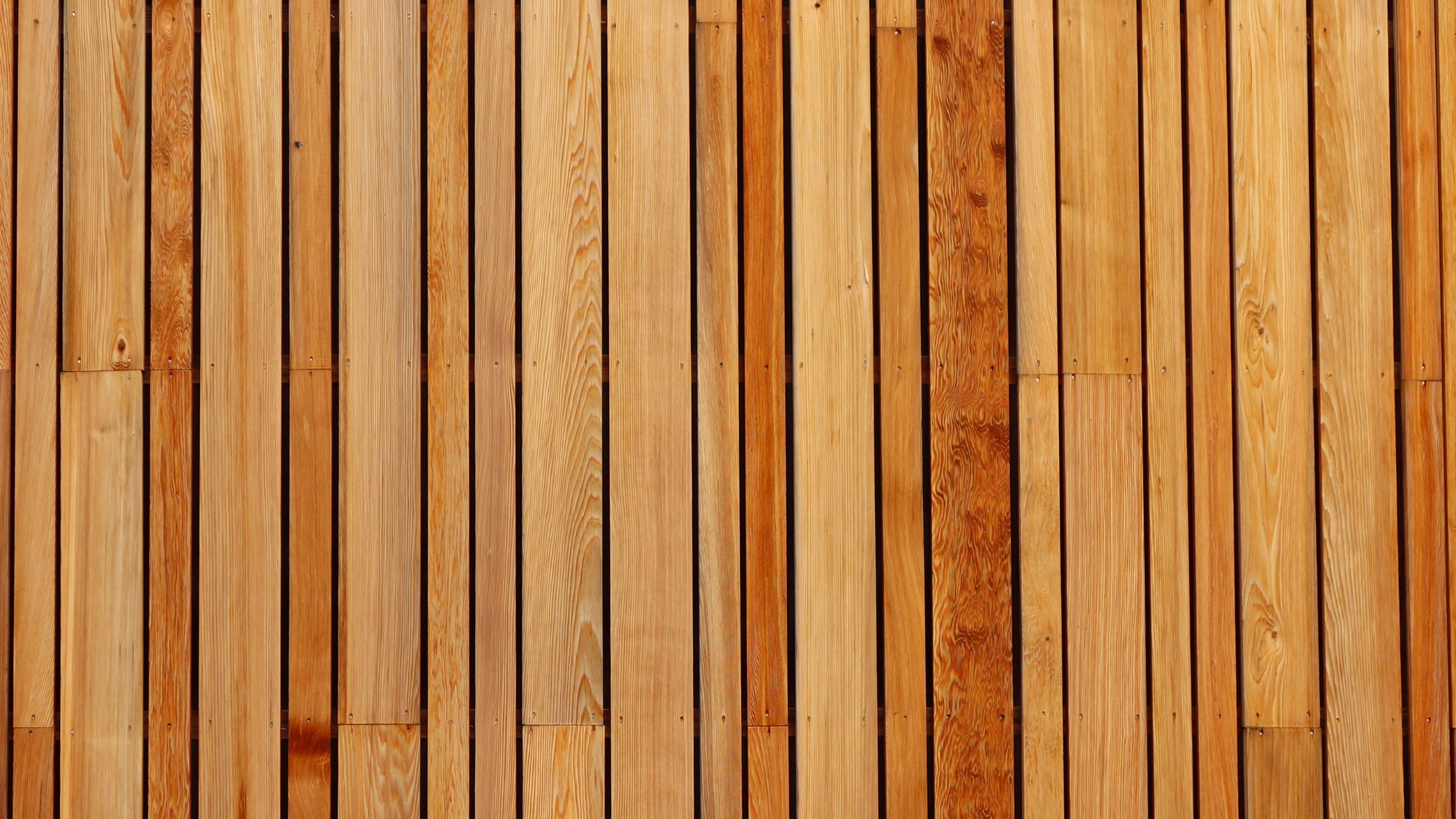Wooden cladding boards in different colours laid out side-by-side